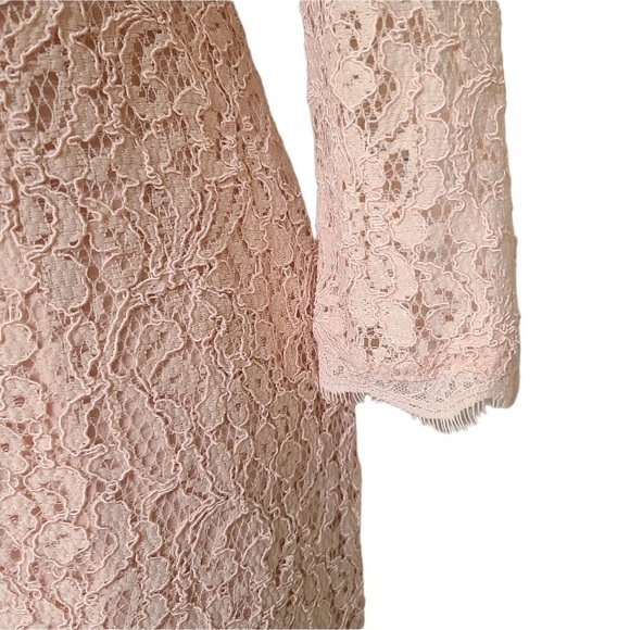 Adrianna Papell Pink Lace Long Sleeve Sheath Mini Dress sz 6 NEW romantic - Picture 9 of 13